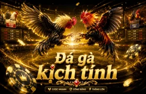 pzbroker Đá Gà hiển thị giao diện trận đấu trực quan