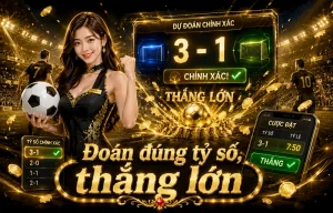 pzbroker thể thao trên giao diện mobile với thẻ trận và odds rõ ràng